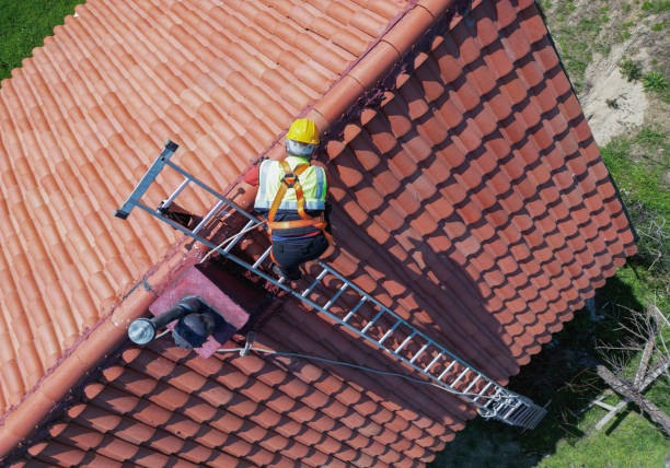 Best 4 Ply Roofing  in Lewisville, TX